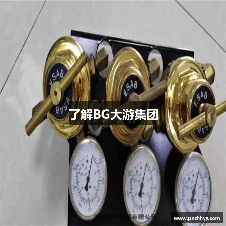 了解BG大游集团